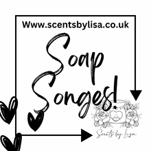 Load image into Gallery viewer, Soap sponge