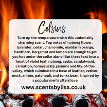 Load image into Gallery viewer, Soap sponge