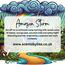 Load image into Gallery viewer, Soap sponge