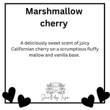 Load image into Gallery viewer, Fruity snapbars
